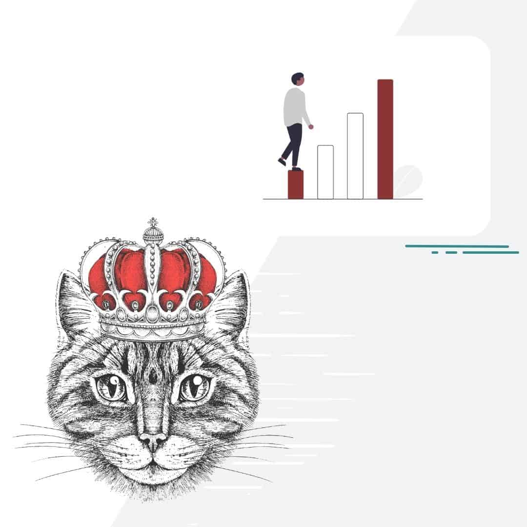 11 steps for a new CMO