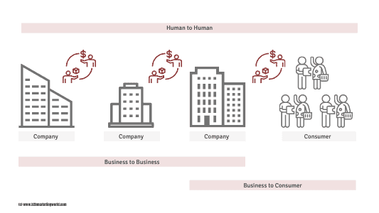 What is B2B Marketing