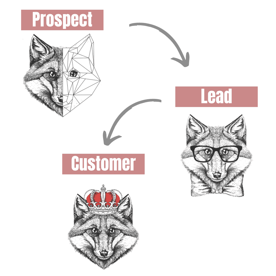 Prospect, Lead, Customer Phases of B2B Marketing