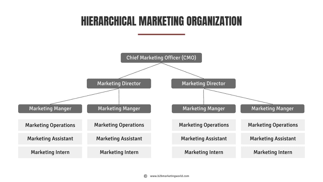 Hierarchical Marketing Organization