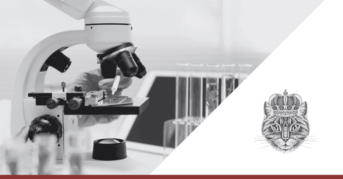 Life Sciences Marketing