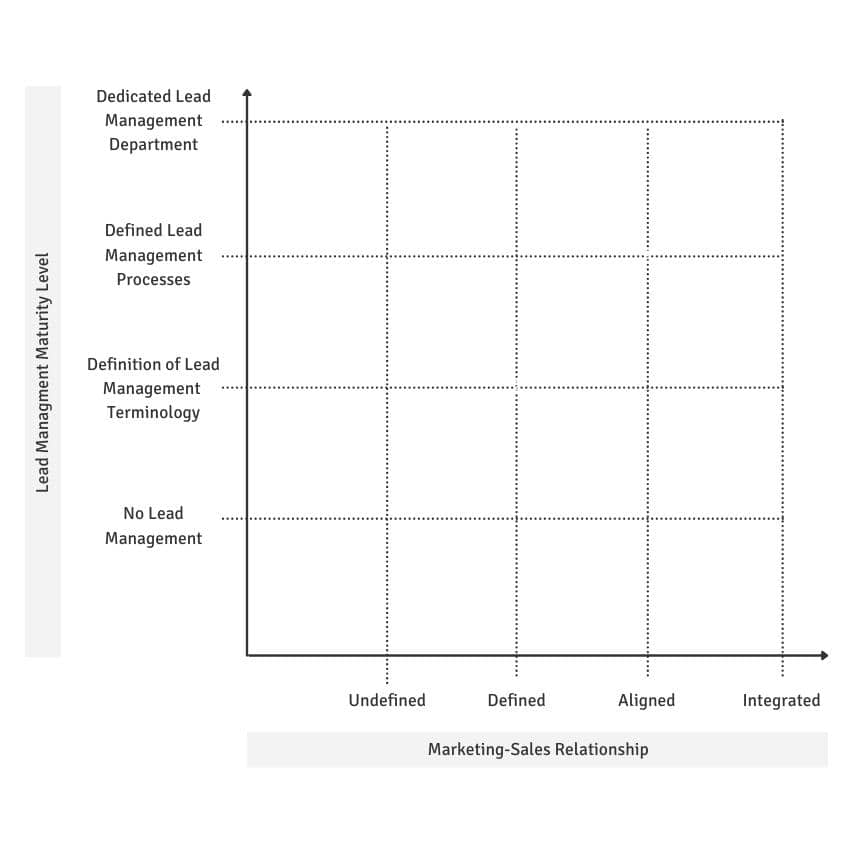 Step 2 - Lead Management Maturity Level