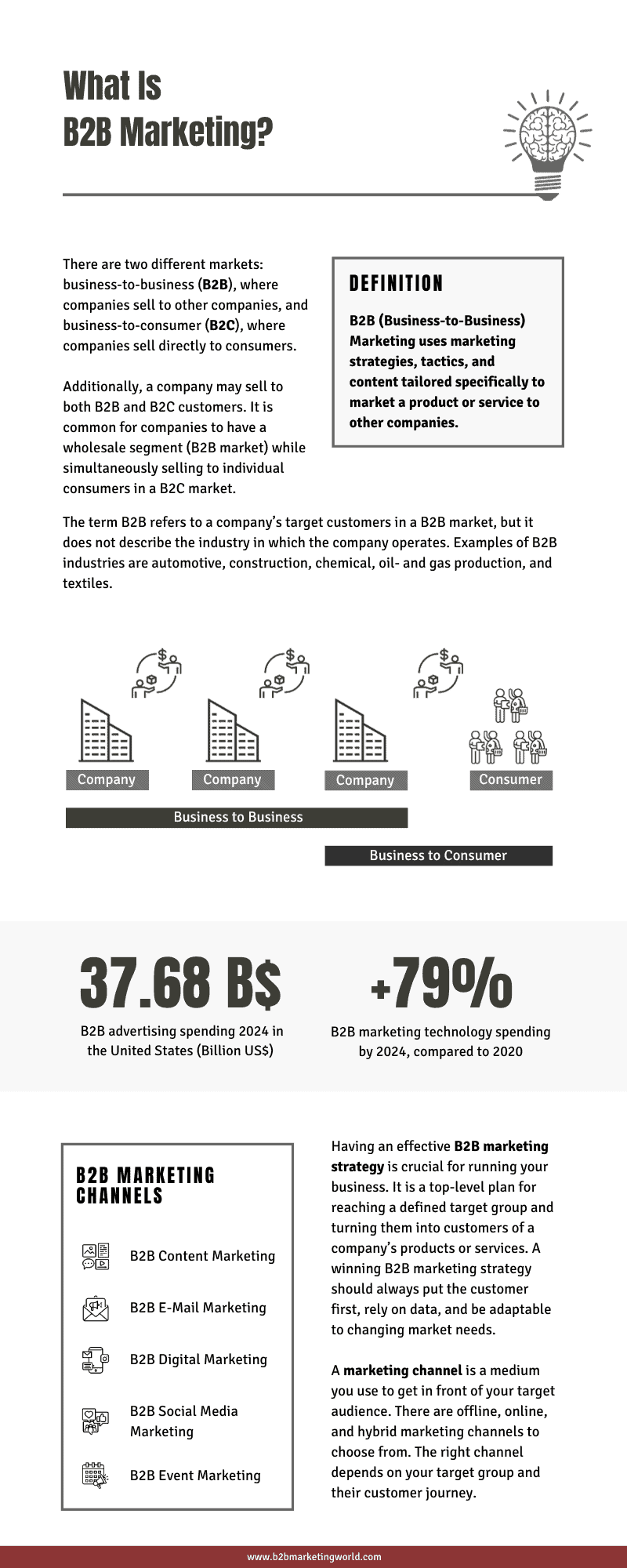 What Is B2B Marketing Infographic